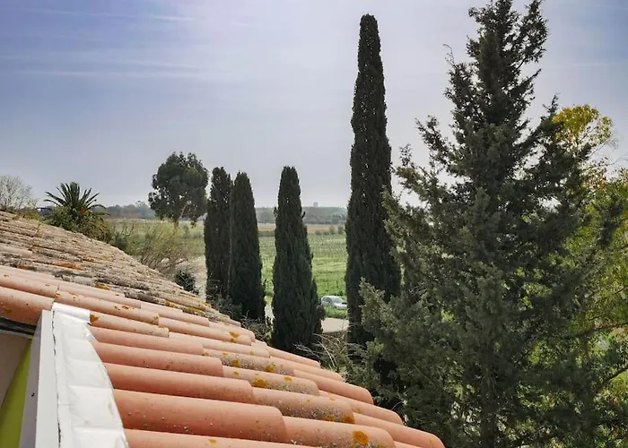 Grand Duplex De Charme En Pleine Campagne Lejlighed Hyères